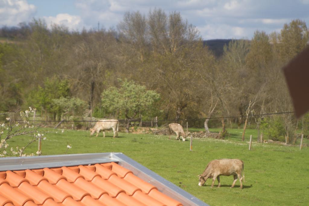 A Casa De Salsas Villa Eksteriør bilde